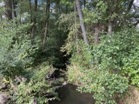 Schaecherbach_Sommer_00037