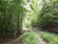 Keltensiedlung Dünsberg Biebertal
