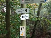 Keltensiedlung Dünsberg Biebertal