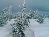 Fichtelberg Erzgebirge